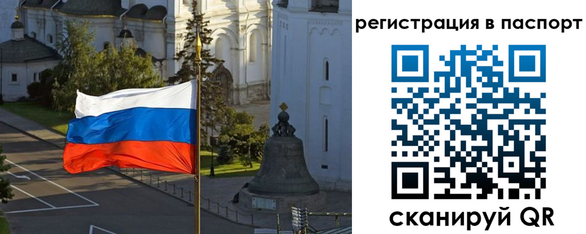 где прописаться в Ногинске